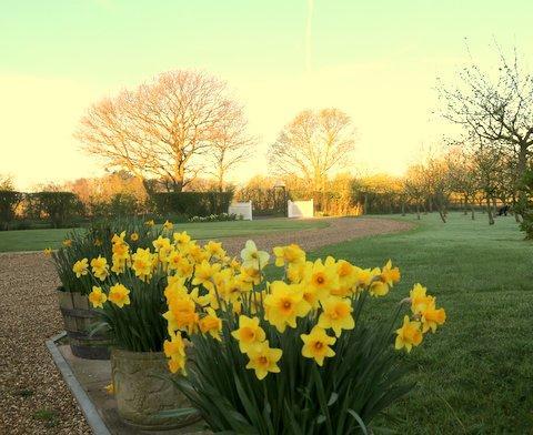Pheasant Suites Colchester Zimmer foto